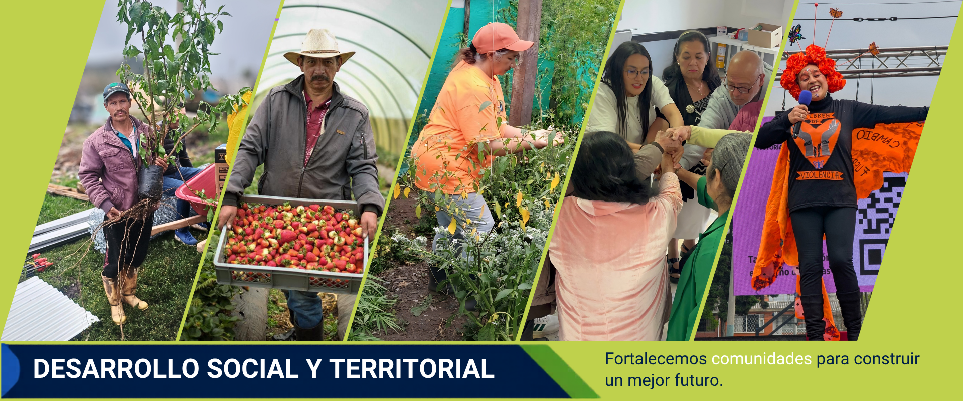 Desarrollo Social y Territorial