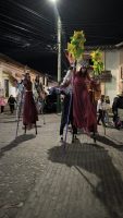 Festival cultural tabio (1)